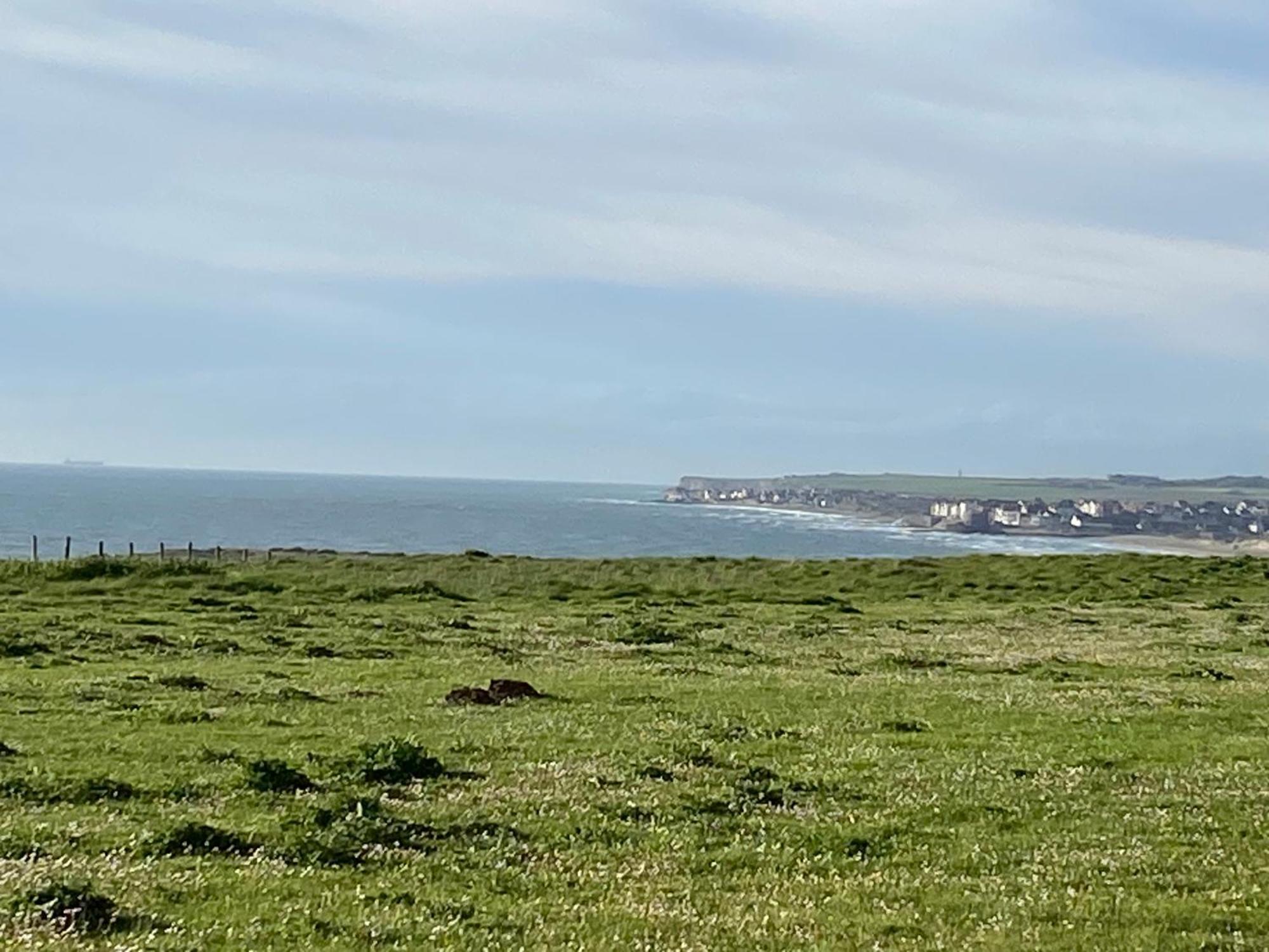 Brise De Mer Sur La Naturelle, Studio A Wimereux , Parking Екстериор снимка